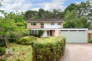 Photo 2- click for photo gallery